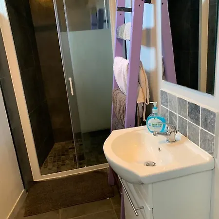 Maison Des Roses * Saint-Savinien